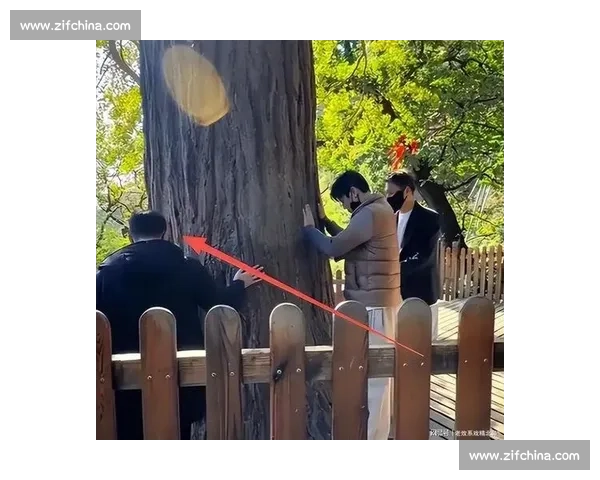 明星因违规风波引发舆论热议社会关注度持续升温